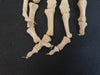 Real human hand bones for sale